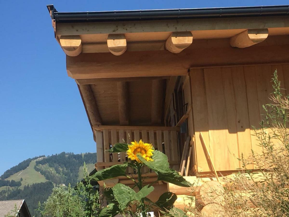 Chalet Karin Хохфильцен Экстерьер фото